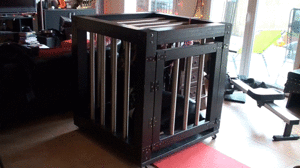 www.bondagecrossdresser.com - Cage Bound thumbnail